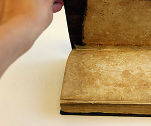 Picture of book repaired