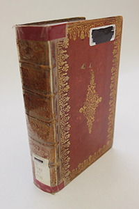 Picture of book needing repair