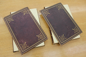 Picture of book needing repair