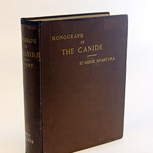 Picture of book repaired